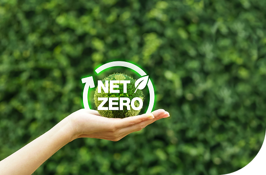 ICM presentó propuesta de la plataforma Net Zero Citizen